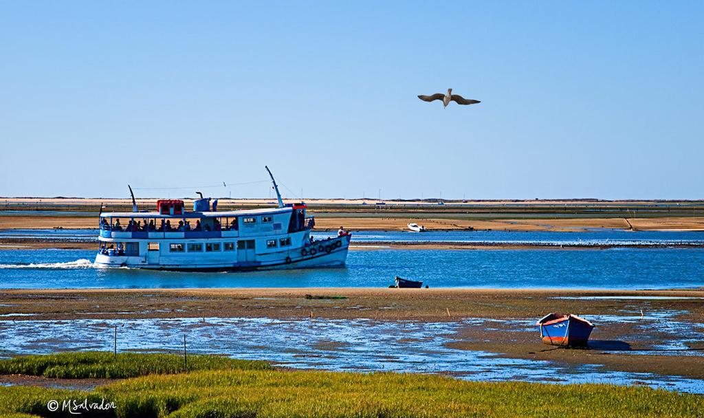 Casa Marina Olhao 빌라 객실 사진